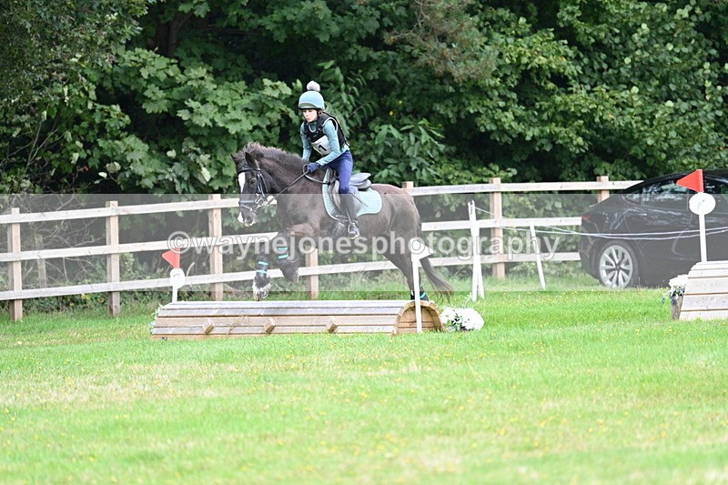 WJ7_7656 - 40cm Time 10:49 to 11:18