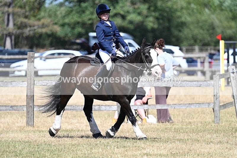 WJ7_3680 - Class 8 Ridden Veterans