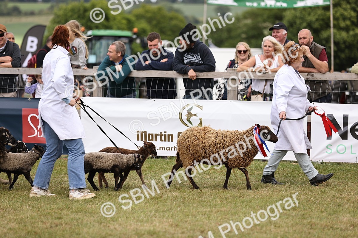 SBM_16867 - Grand Parade