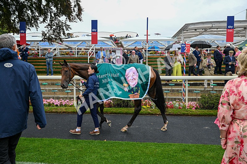 200826-Race 2-Sun Goddess-0412 - Race 2 14.25pm Harry's Half Million By Goffs