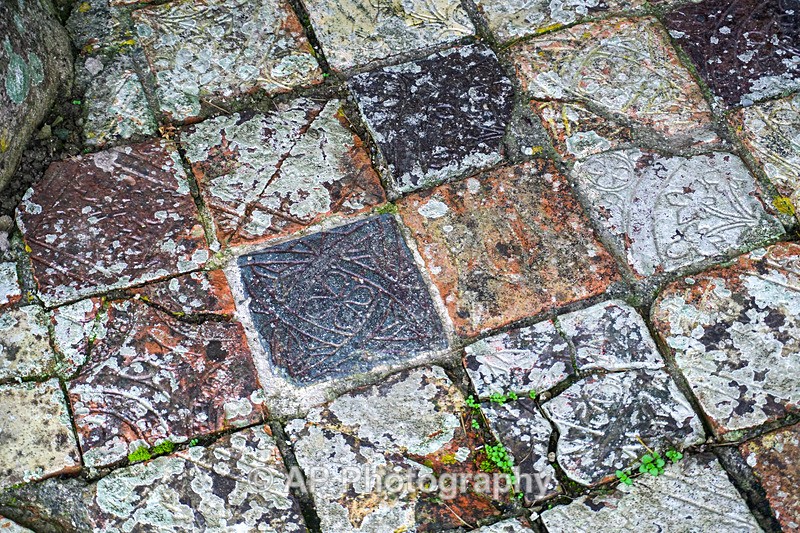ACP02028-1 - Strata Florida Abbey