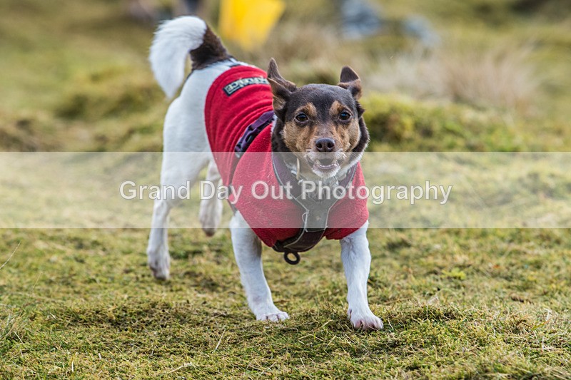 Clough Head-1086 - Kong Running Clough Head Fell Race Saturday 7th February 2026