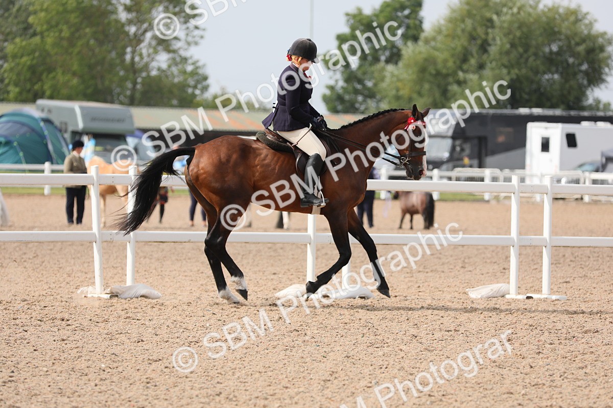 SBM_11467 - Class 305 Ridden Foreign Breeds- Pure Bred