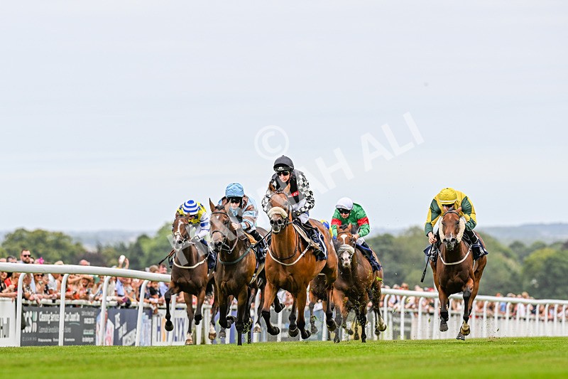 140824-Race 3-King Sharja-3539 - Race 3