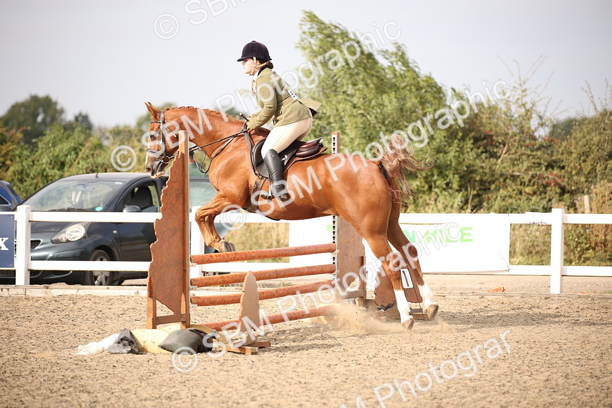 SBM_17303 - Class 410a - Wor5king Veteran 90cm (15-19)