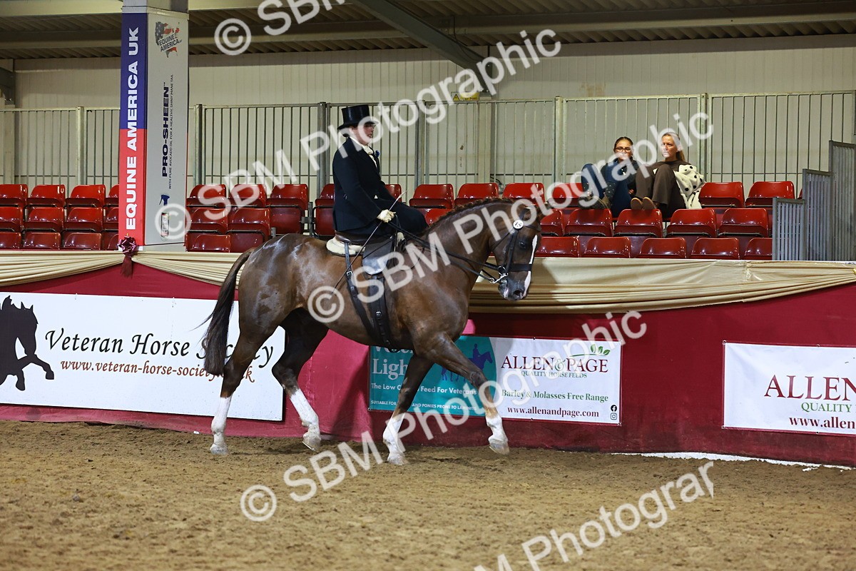 SBM_15385 - Class Q - Ridden Horse Champ