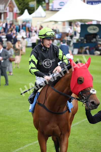 yr22052022r4-2 - Race 4: 5:05pm Sky Bet Sunday Mile