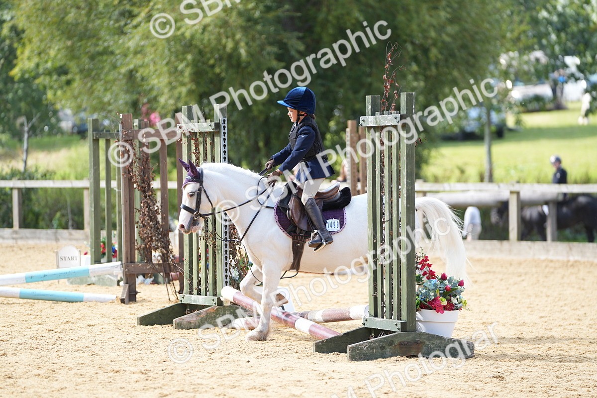 SBM_64627 - J2 - Mini Tour Junior Pony 30cm Championship