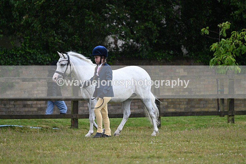WJ7_5722 - Class 4 Prettiest Mare in Hand