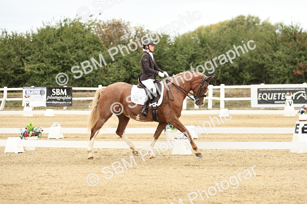 SBM_006542 - Class 21 - Medium 5 Bronze - 9.08-9.48