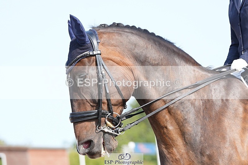 250815-101335-00362 - 008-Deborah.NewmanLegolas