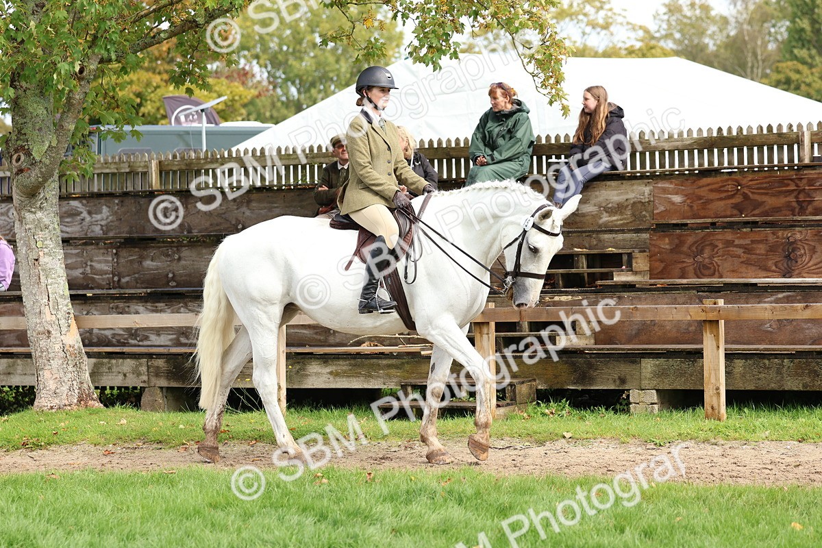 SBM_45162 - S27 - Young Veteran Ridden