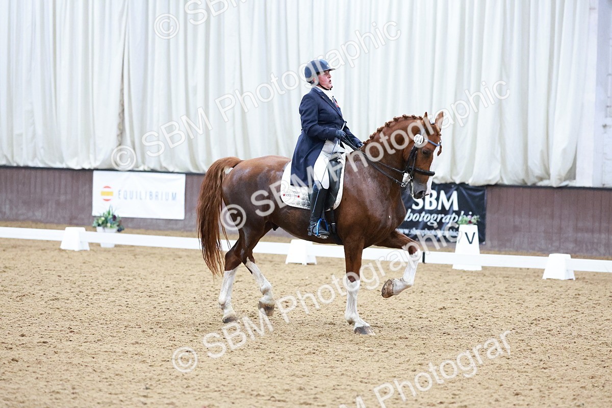 SBM_021281 - Class 14 - FEI Grand Prix - 17.40-18.34