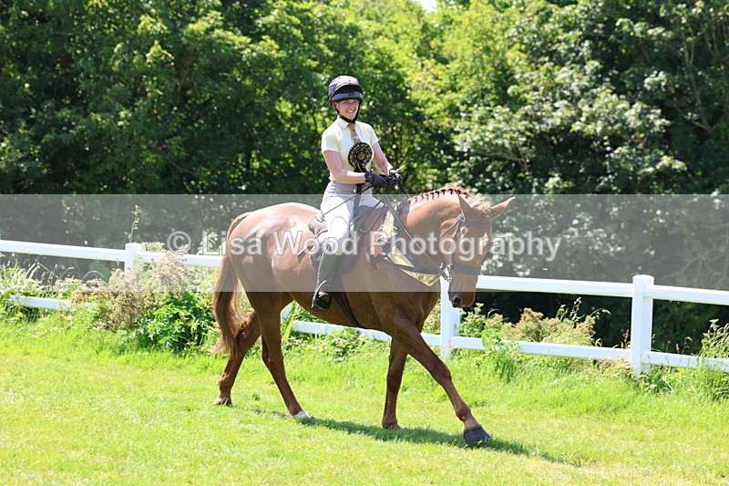 3E7A8141 - Working Hunter Championship