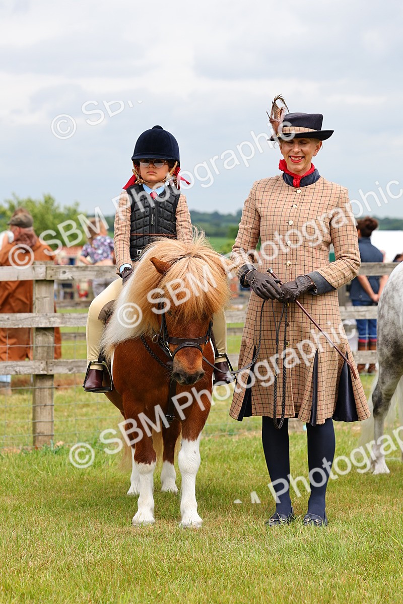 SBM_08308 - Class 42-43 - LIHS BSPS Heritage Working Sports Pony
