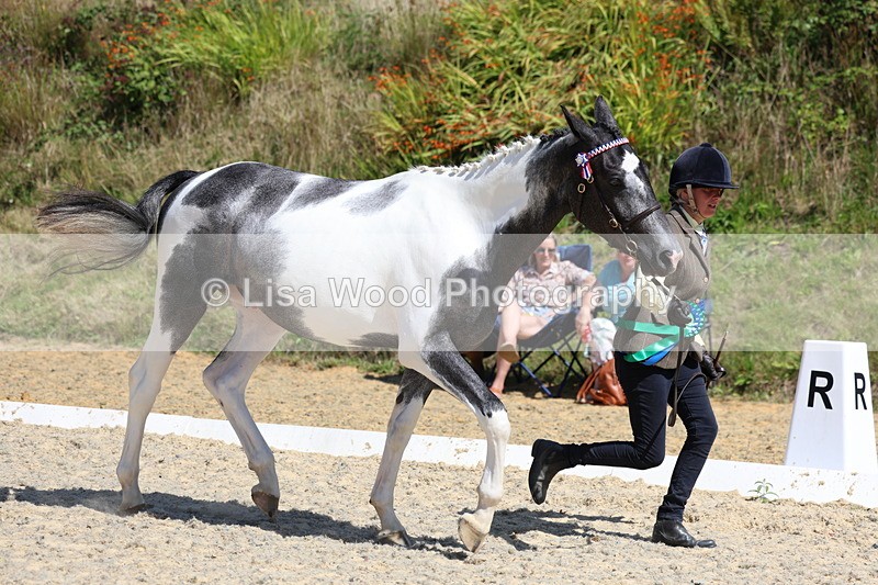 3E7A9864 - In Hand Championship