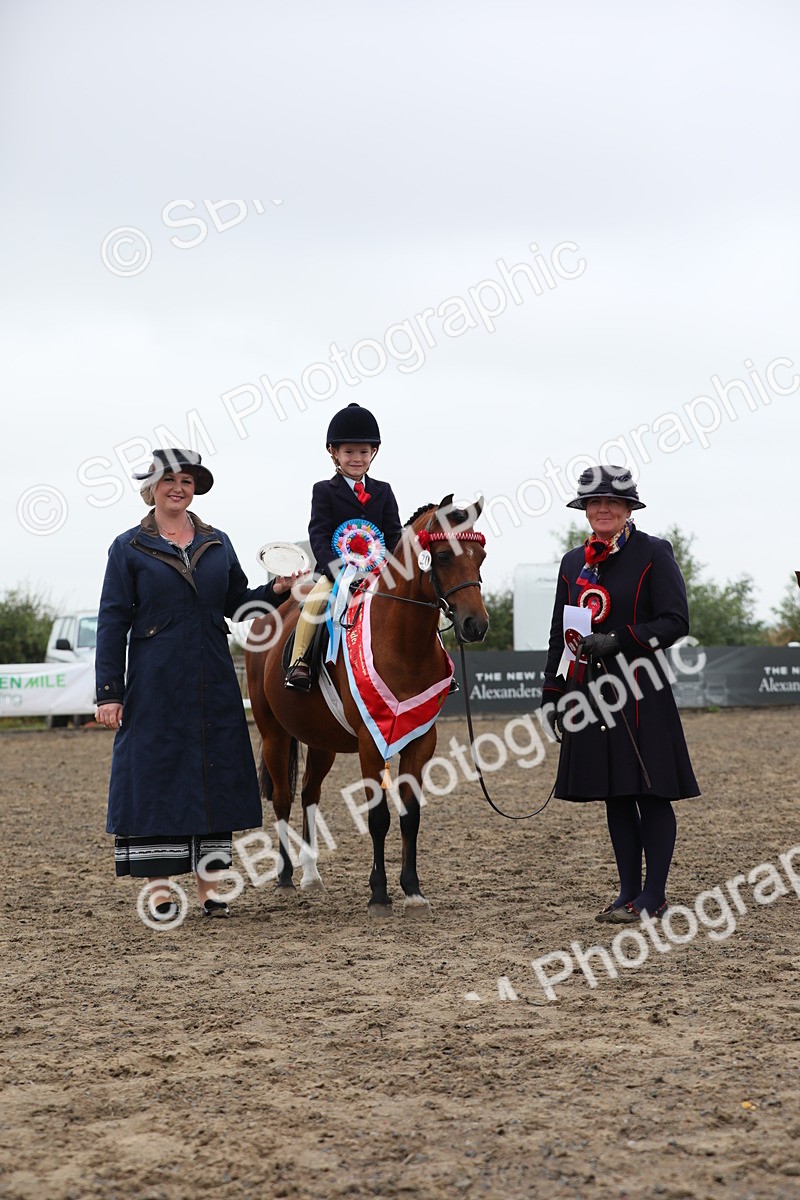 SBM_21866 - Class 806 - Young ridder 10 Yr & Under