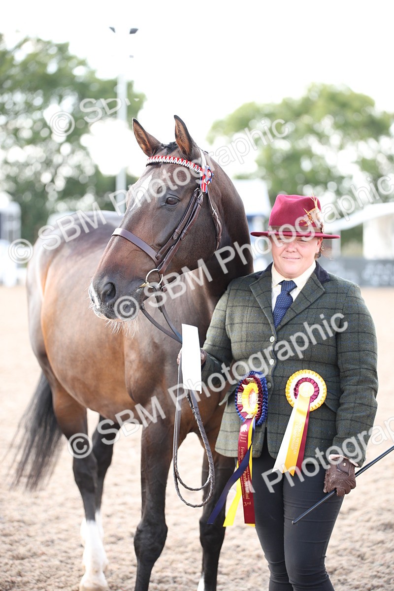 SBM_07137 - Class 25 IH Foreign Breeds- Pure bred