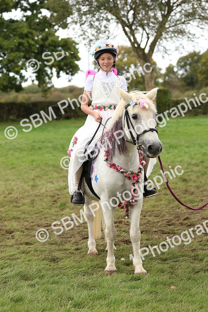 SBM_62170 - S37b - Best Unicorn