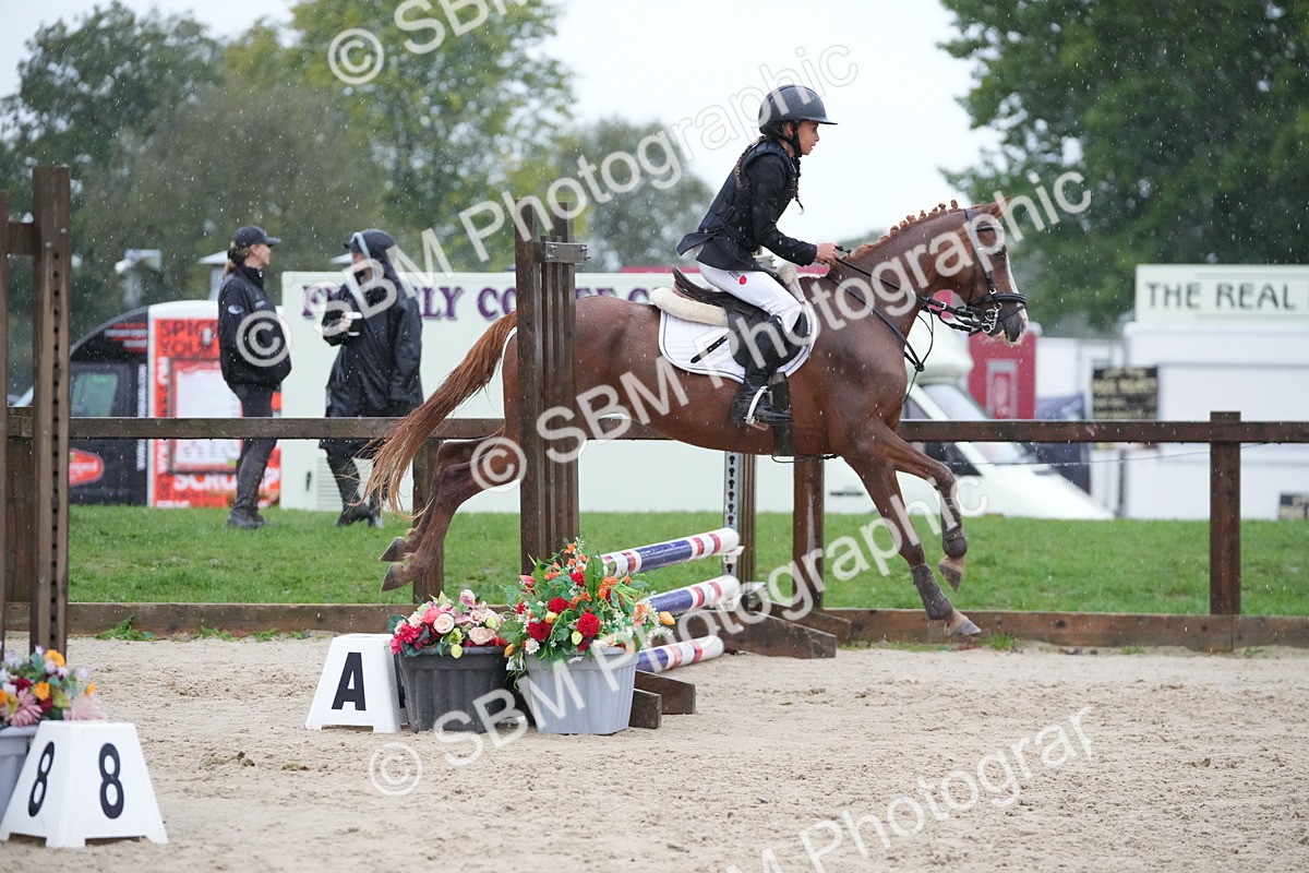 SBM_36191 - J5 - Junior Pony 50cm Championship