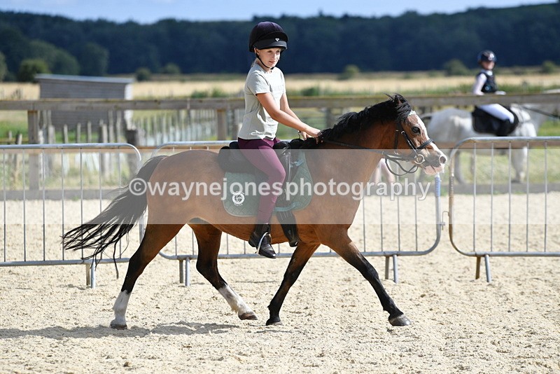 WJ5_5575 - Poles off the floor