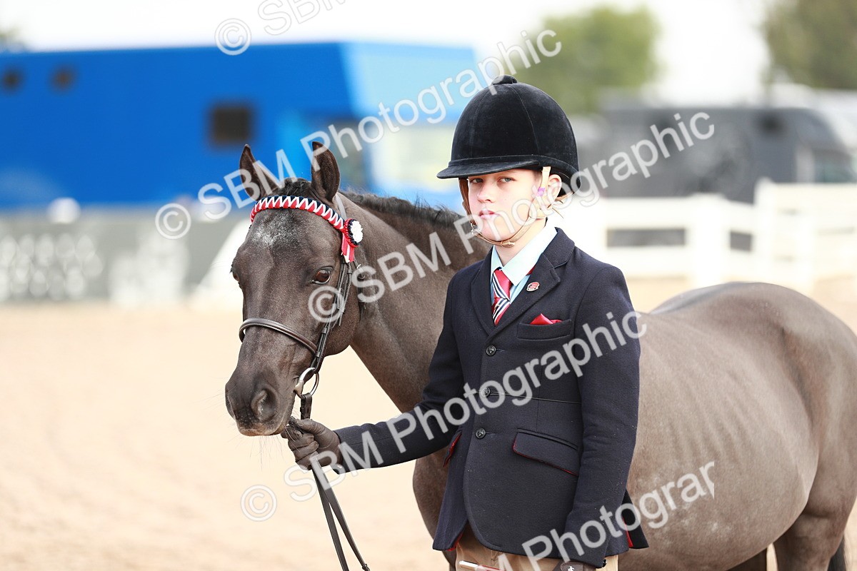 SBM_09500 - Class 201 Best Turned Out IH