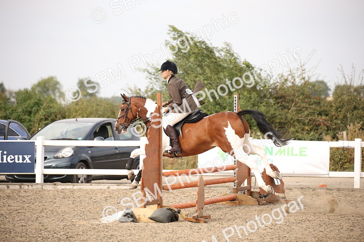 SBM_17126 - Class 409b - Working Veteran 80cm (20+)