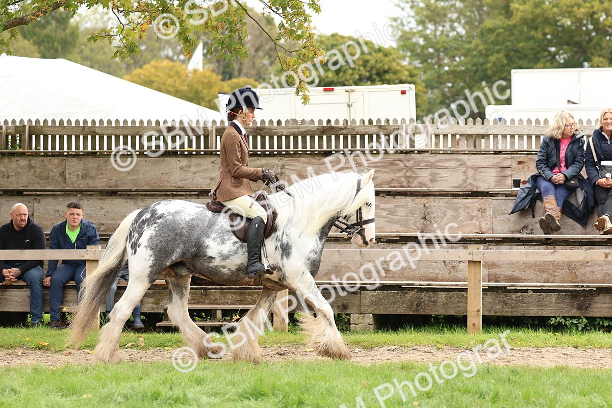 SBM_64409 - S58 - Coloured Pony Ridden