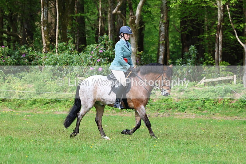 3E7A2633 - Working Hunter Championship