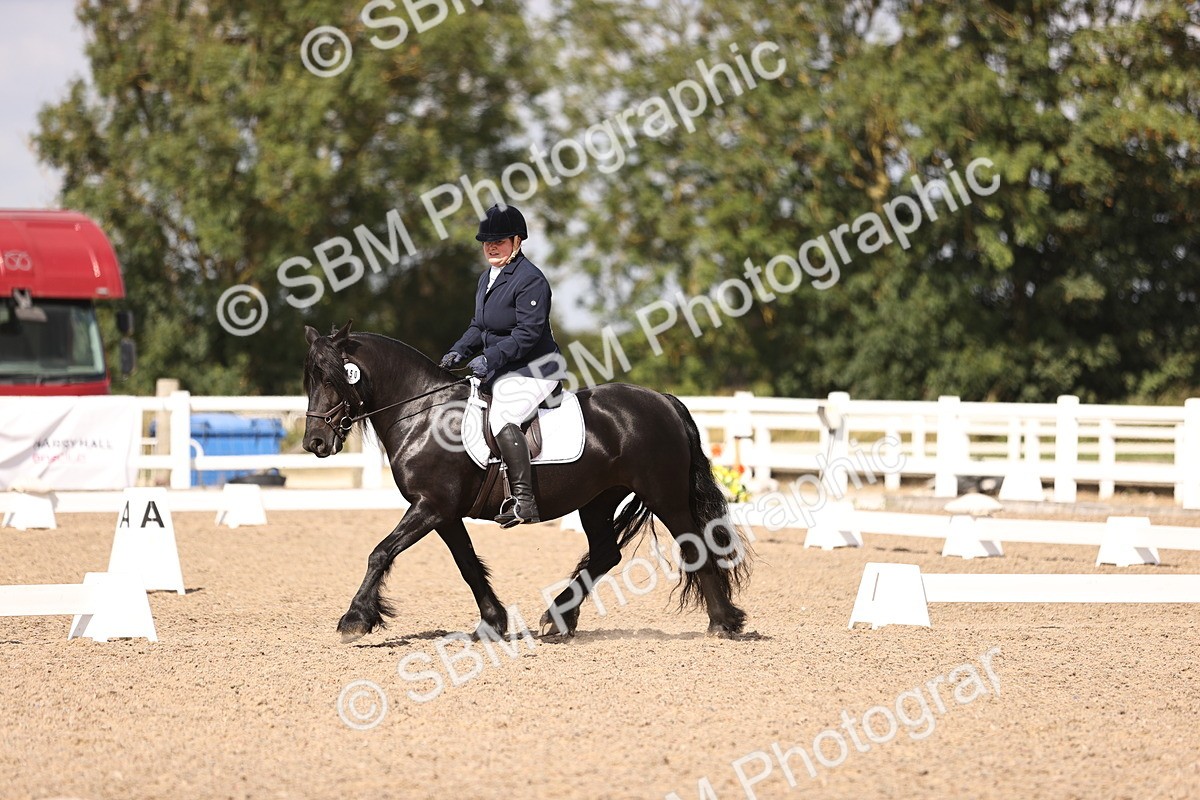 SBM_03696 - CLass 35 Intro 3