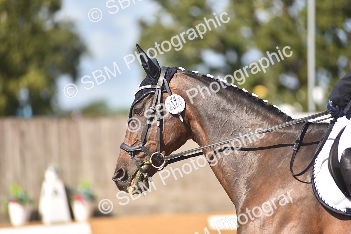 SBM_19956 - D4 - Small Tour Championship Intro 4