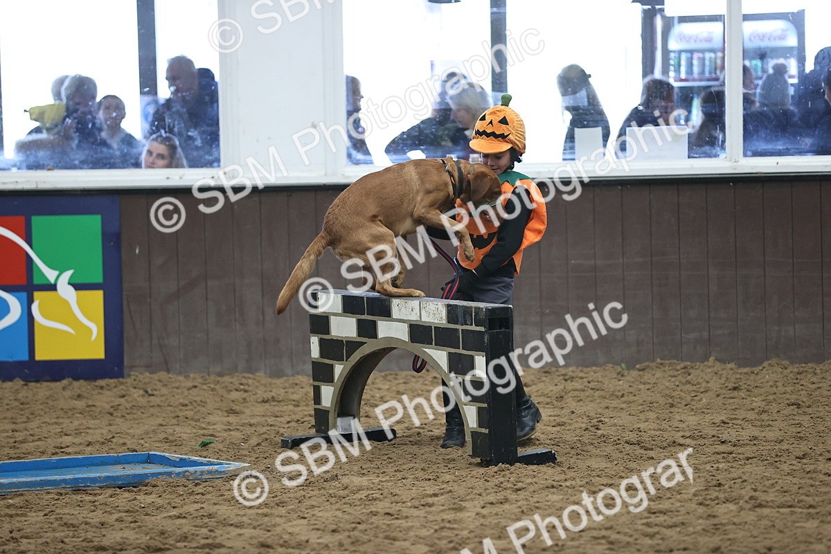 SBM_001371 - Class 3 - Horse & Hound 60cm