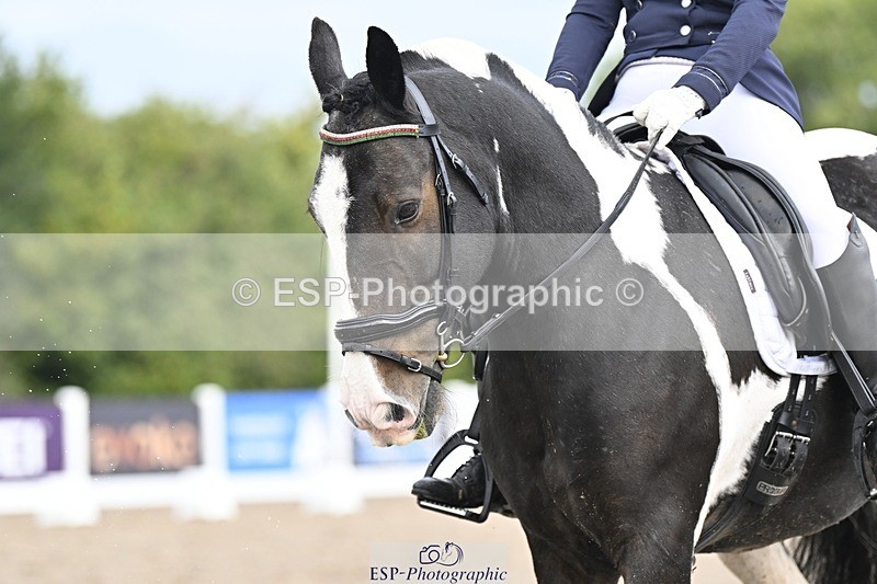 250907-105635-06417 - 082-Samantha.FussellDai.The.Pied