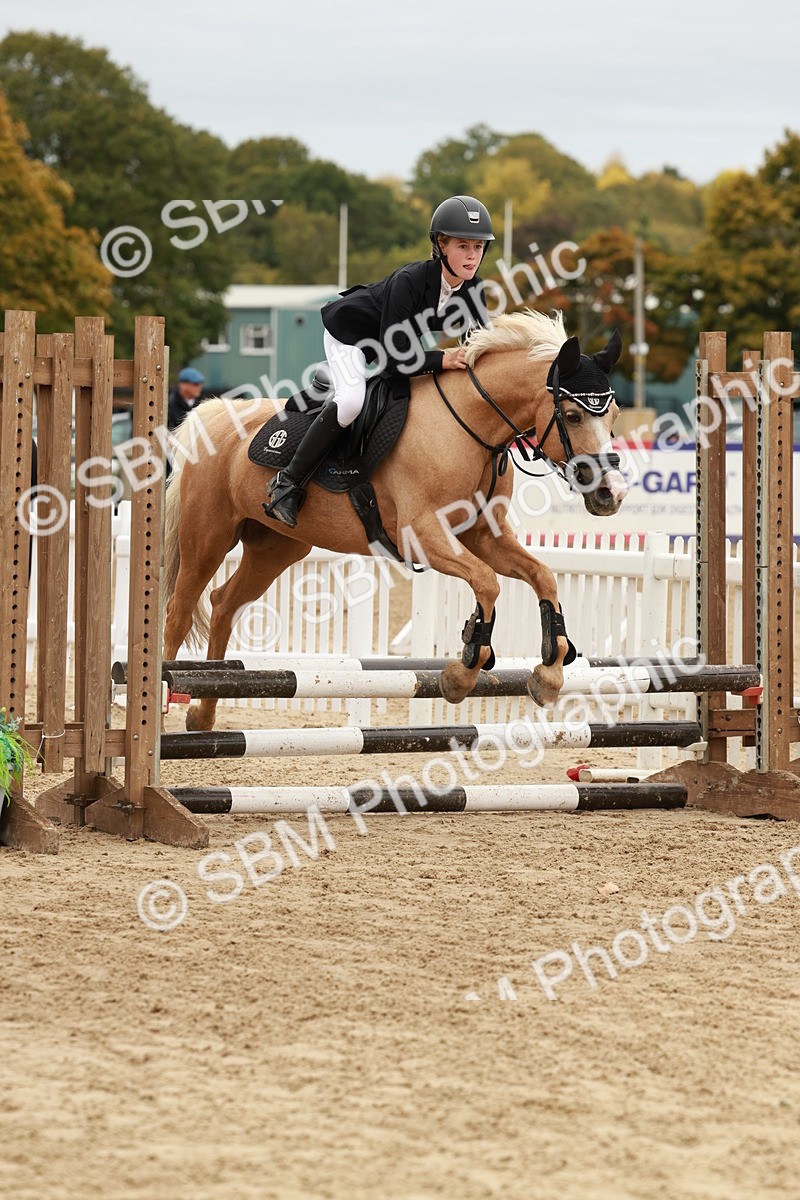 SBM_66900 - J13 - Junior Pony 60cm Championship