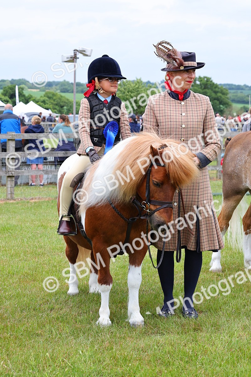 SBM_08367 - Class 42-43 - LIHS BSPS Heritage Working Sports Pony