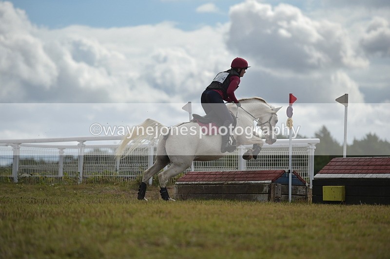 NGP_1206 - XC Time 10:38 to 10:51