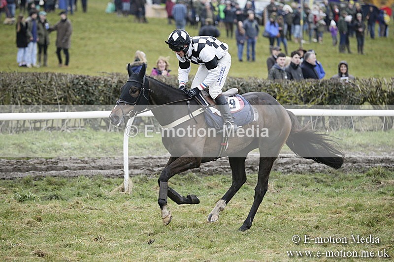 PtP 020418 -412 - Old Berks Point-to-Point Races Easter Monday 02/04/18