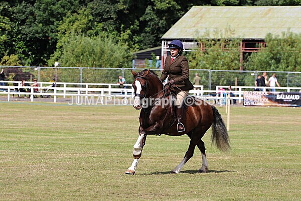 SIAL3573 - Class 8 /9