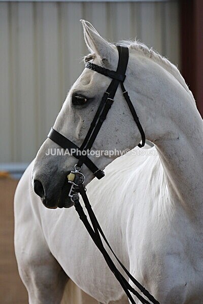 SIAL9974 - Indoor Classes