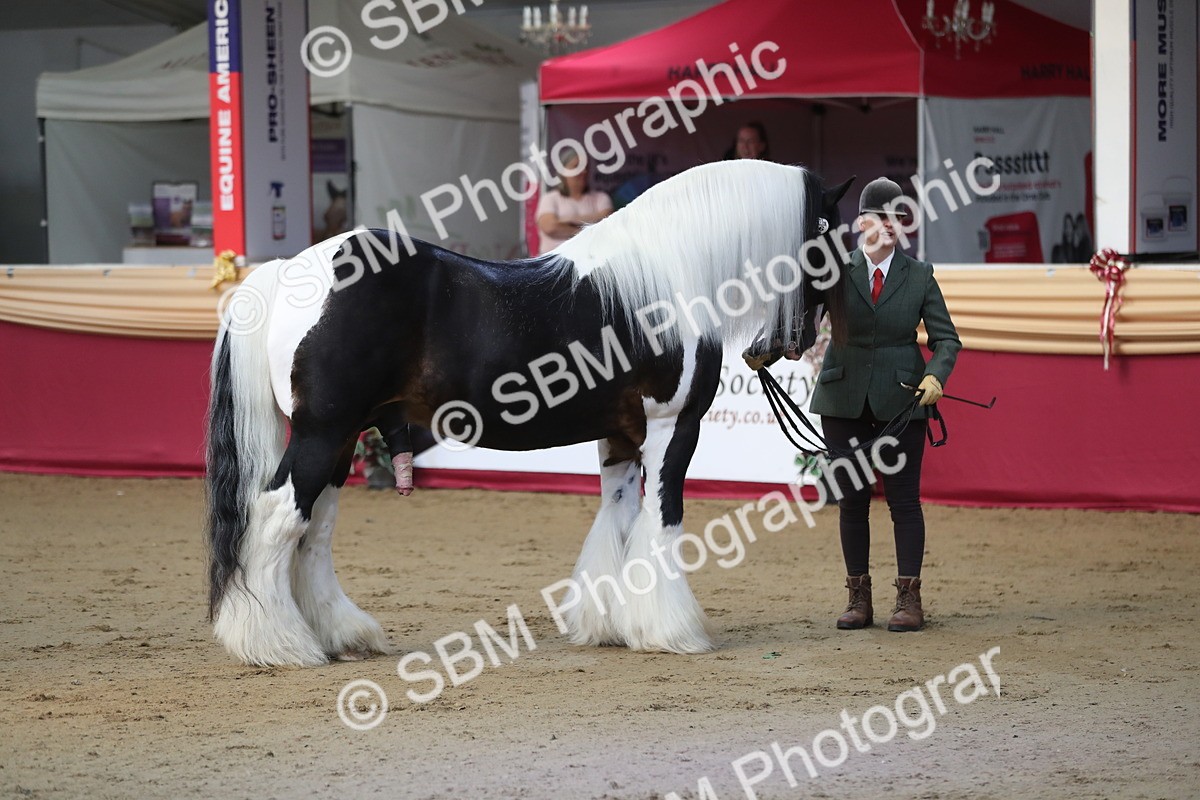 SBM_01328 - Class 3a Area IH Pre Vet