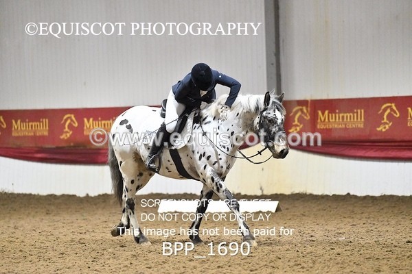 BPP_1690 - PC NOVICE DRESSAGE