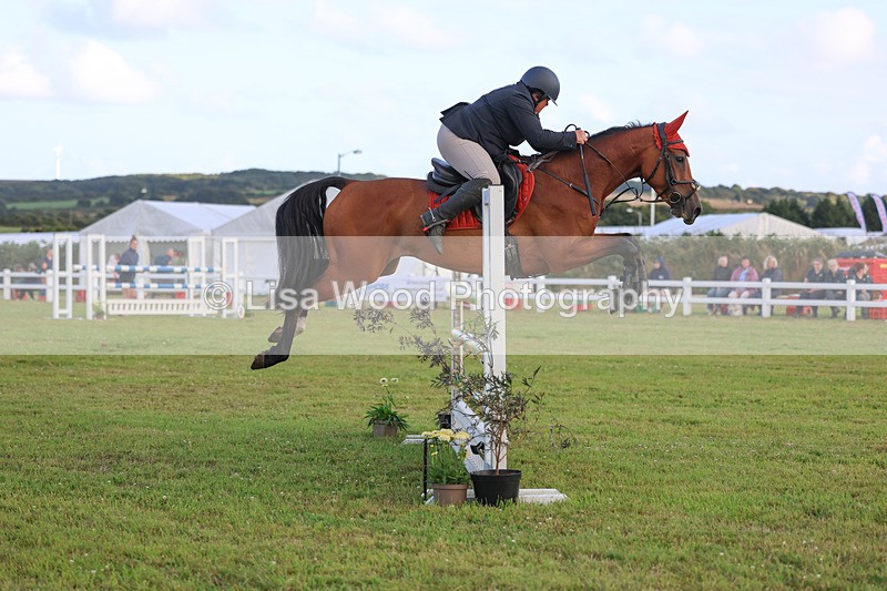 3E7A4903 - Class C1: Showjumping Senior Newcomers/1.10m open