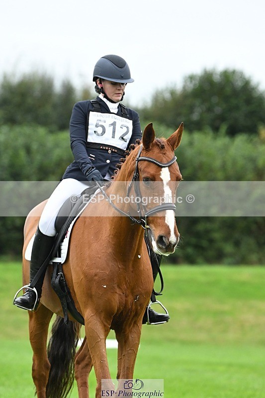 241024-121758-03359 - 512-Elisha.O'Brien-HIGHLIGHT.ROLLER