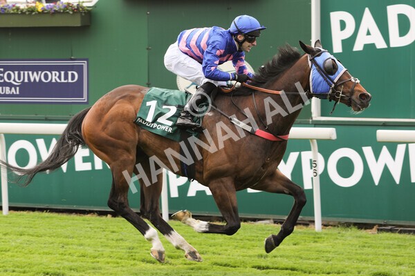 yr12052022r1-23 - Race 1 1.50pm Paddy Power 'Making Flat Less Flat' Stakes
