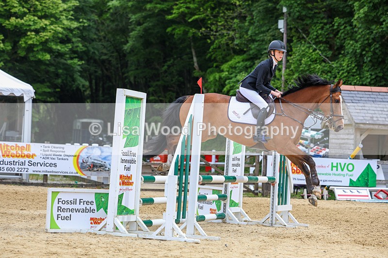 3E7A8551 - Class 4: Senior British Novice/90cm open