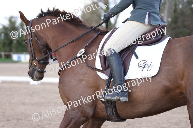 20260228-0871 - Class 6 - Novice 3