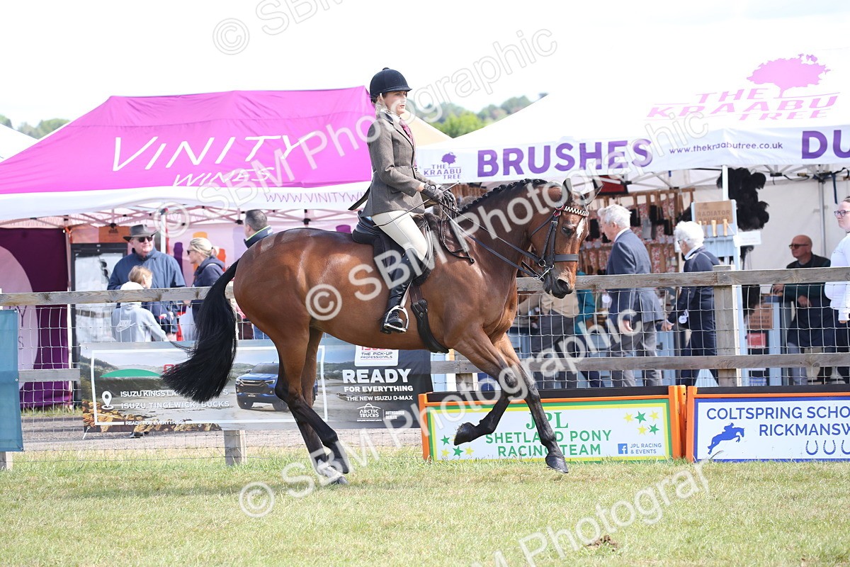 SBM_13318 - Class 95-96 - LIHS BSHA Rising Star Hack Riding Horse