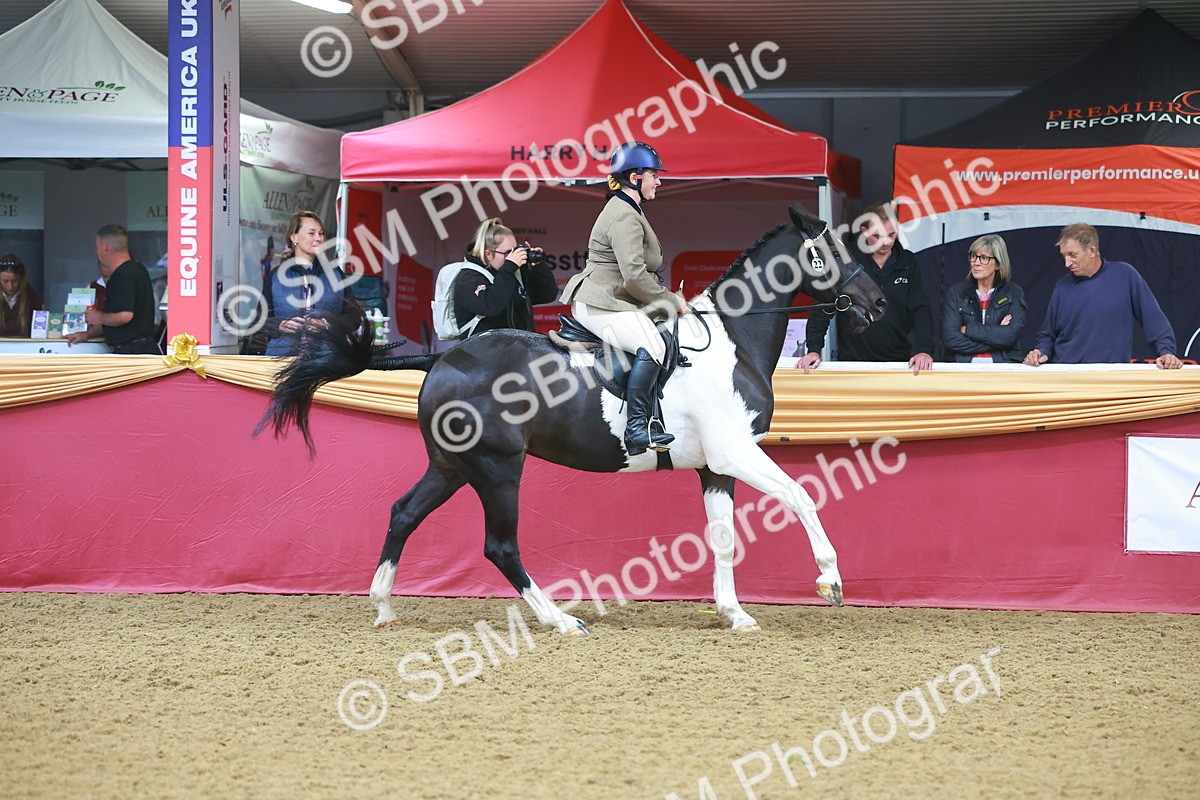 SBM_09640 - Class 102 - HOYS Veteran Qualifier - Ridden Veteran