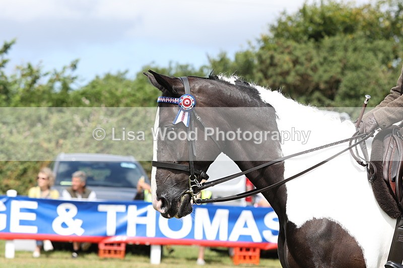 JPP_1542 - Class 17: Cornish Combination Open