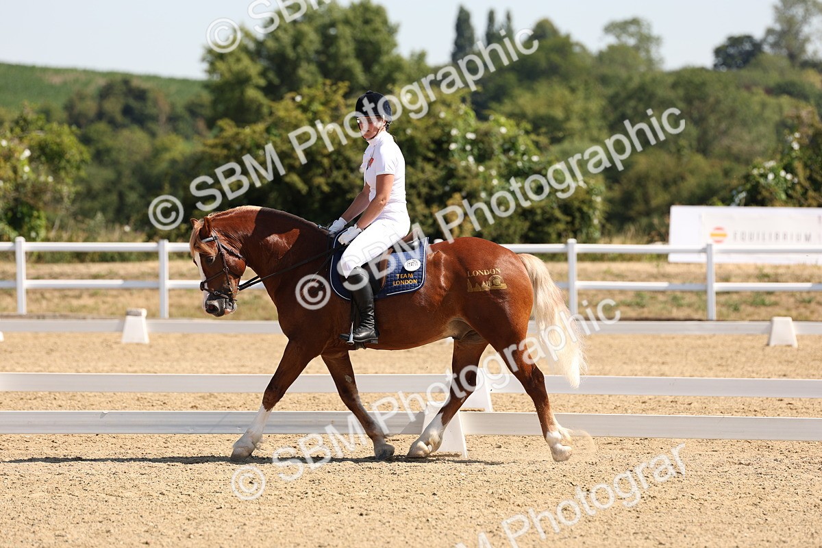 SBM_001083 - Intro 2